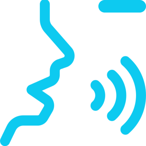 VoiceX